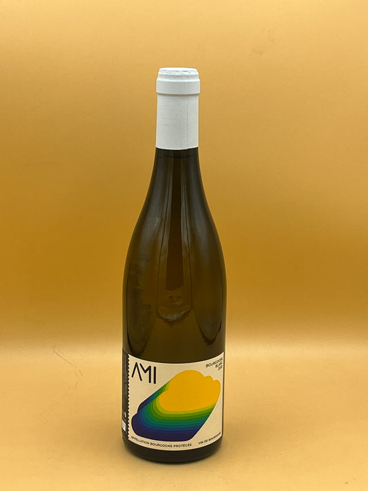 Bourgogne Blanc "Tete dans les Nuages" 2022
